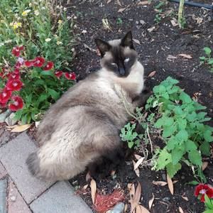 Meet your Posher, Barbara